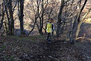 38 Discesa in faggeta